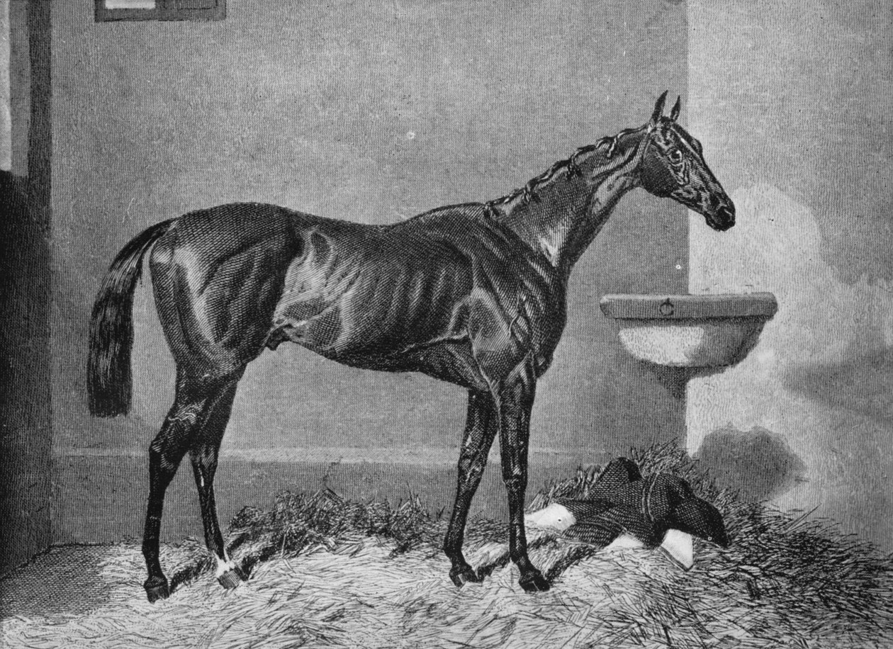 Russborough, 19th century, 1911 by Unbekannt