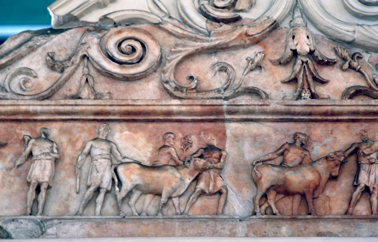 Sacrifice Scene on the Ara Pacis, Rome by Unbekannt