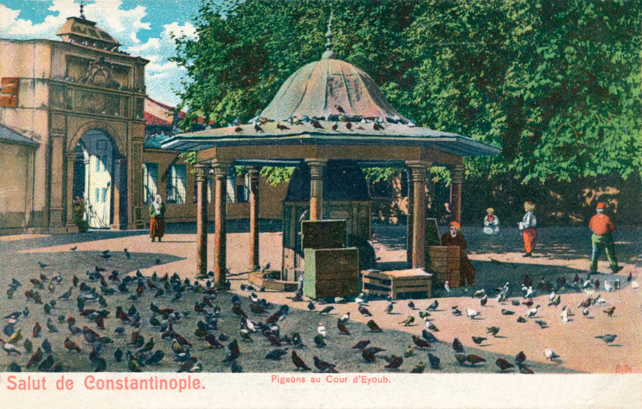 Salut de Constantinople - Pigeons at the Courtyard of Eyoub, c1900 by Unbekannt