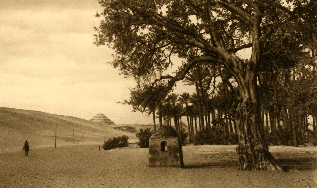 Saqqara - The Step Pyramid Seen from the Sycomore by Unbekannt