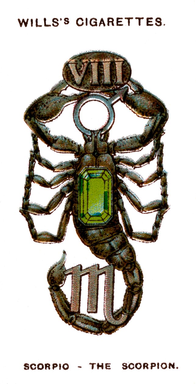 Scorpio, The Scorpion, 1923 by Unbekannt