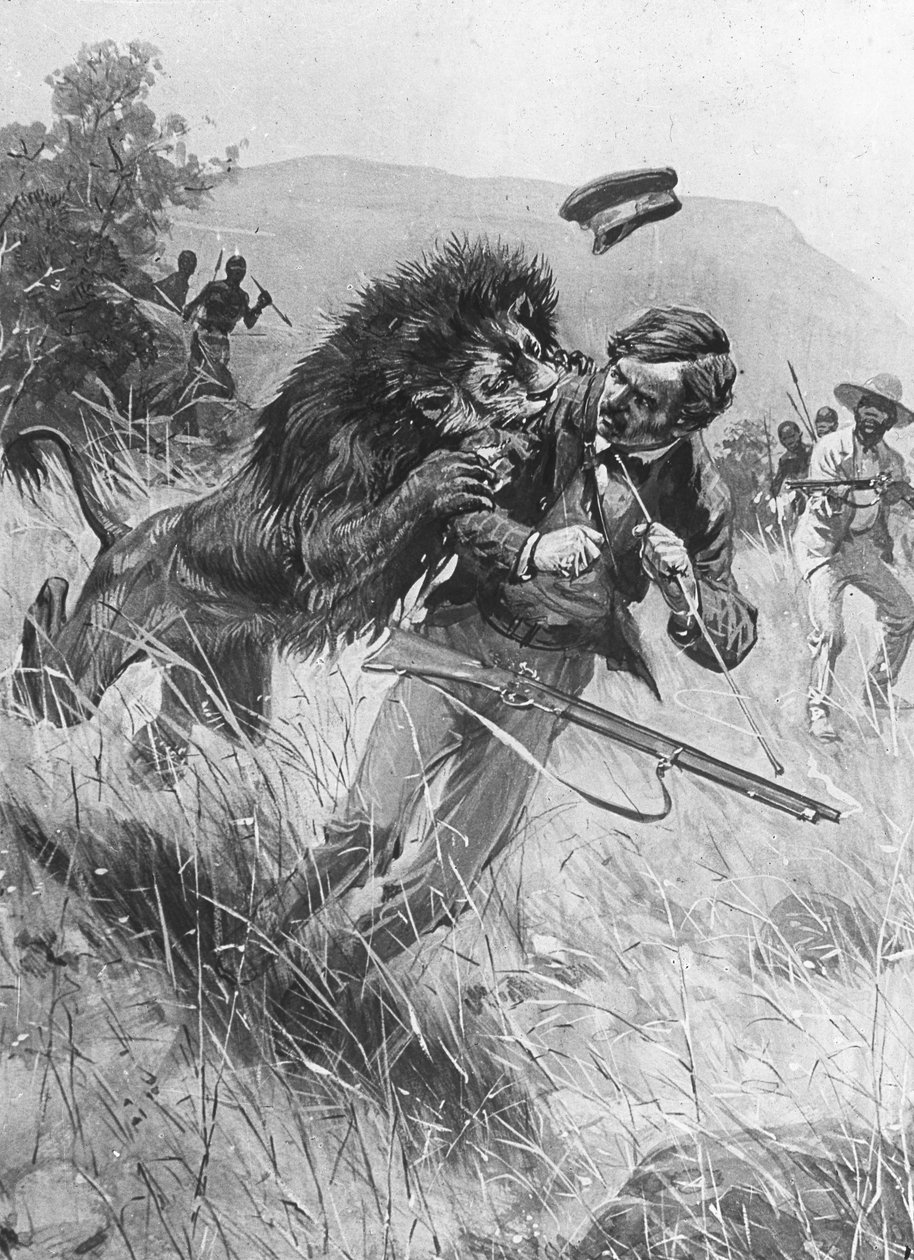 Scottish Missionary and Explorer David Livingstone Being Attacked by a Lion, Africa by Unbekannt