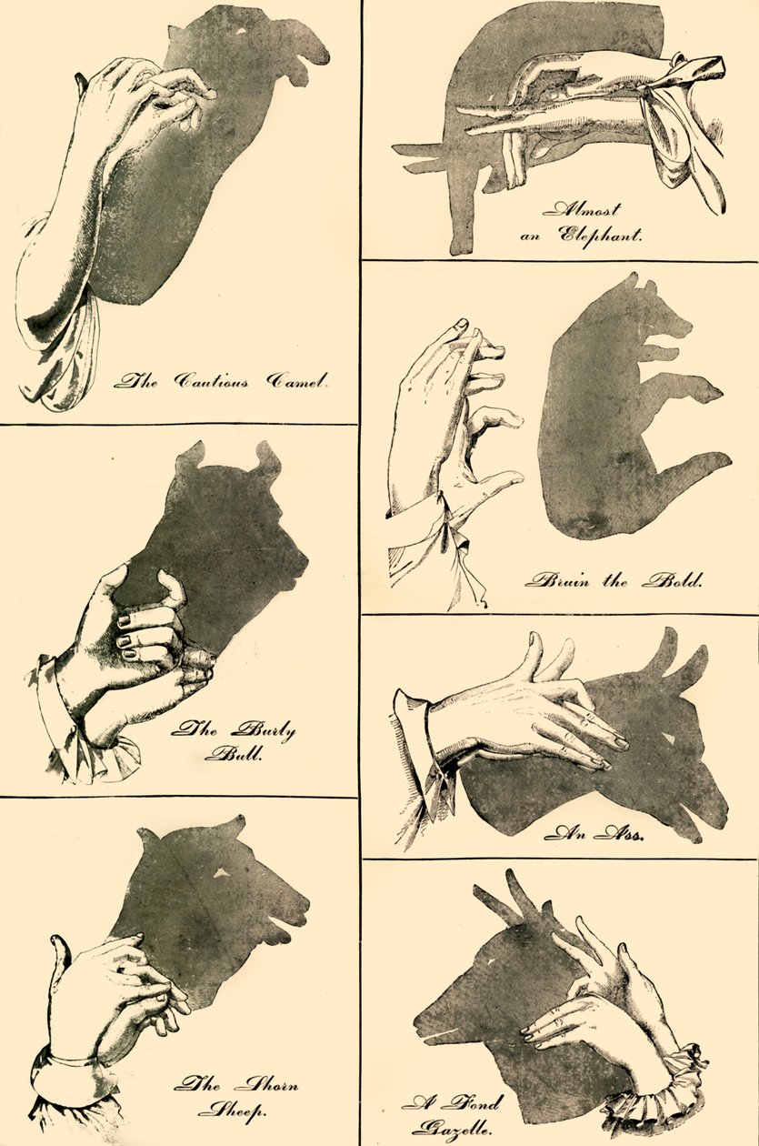 Shadow Pictures and Silhouettes, 1883 by Unbekannt