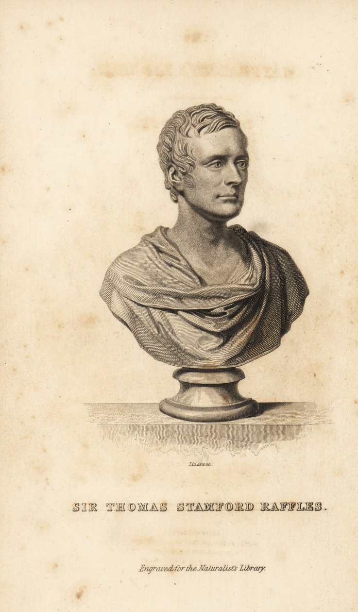 Sir Thomas Stamford Raffles, British statesman, writer and naturalist by Unbekannt