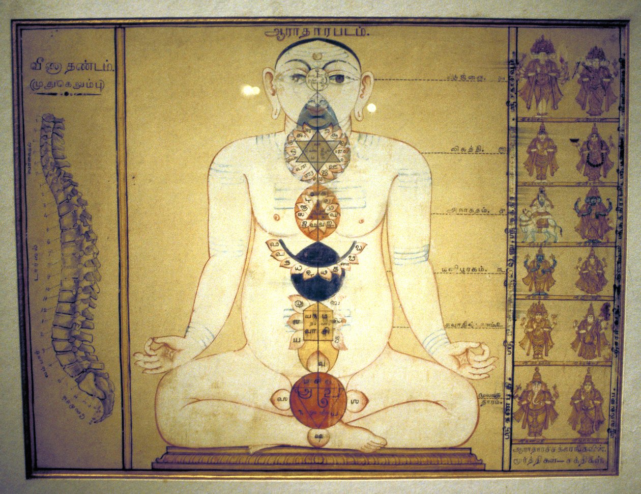 Six Chakras representing the plexuses of the human body, Tanjore, Tamil Nadu, c. 1850 by Unbekannt