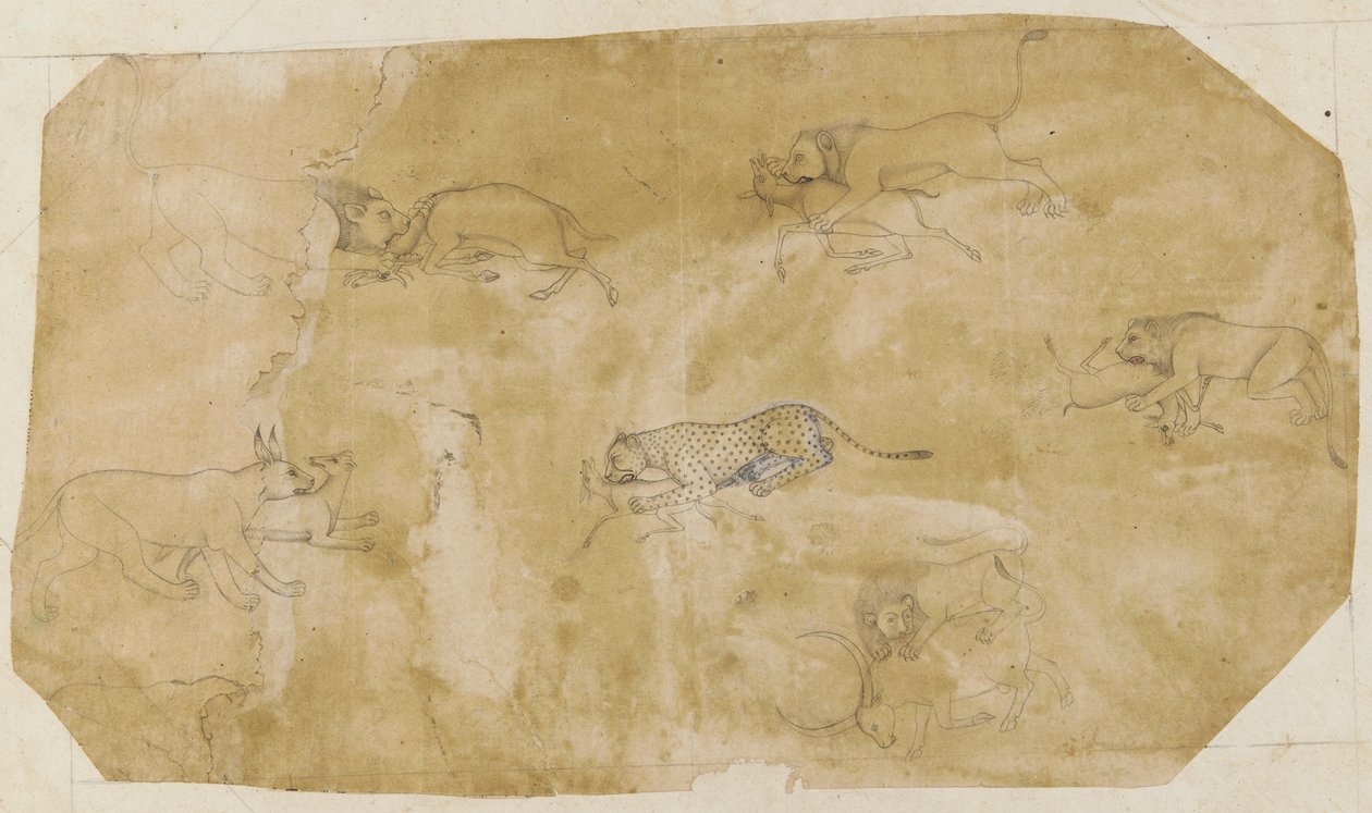 Six groups of fighting animals, 18th century by Unbekannt