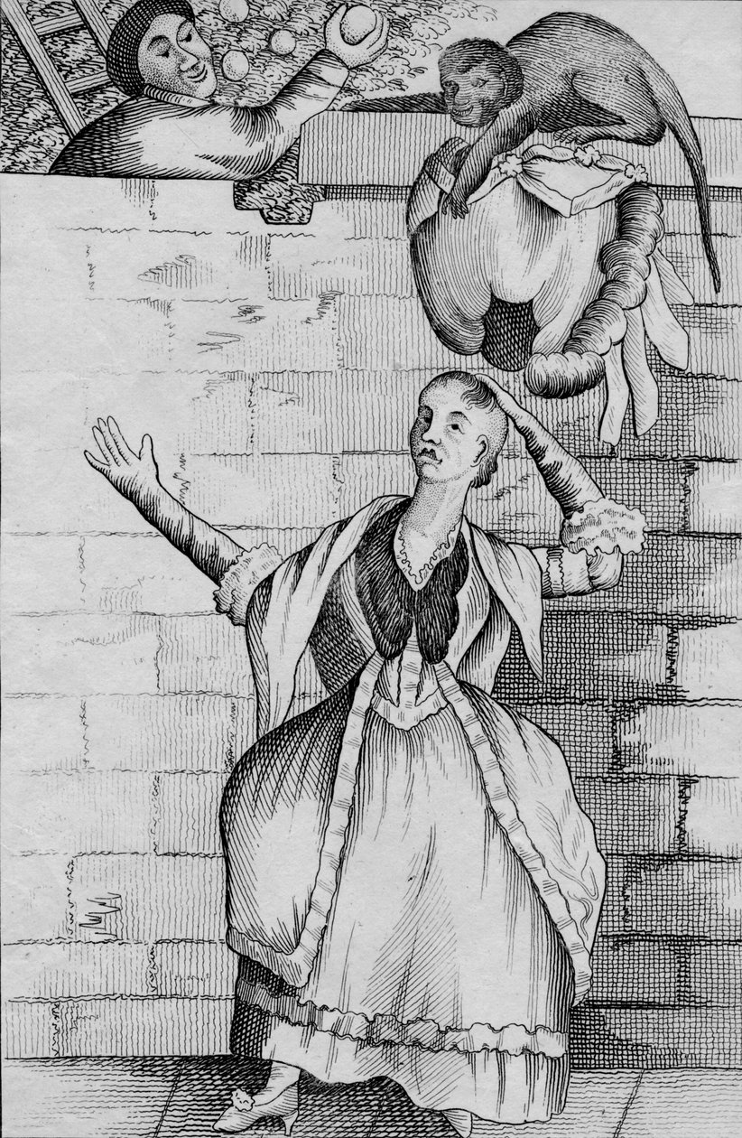 Sleight of Hand by a Monkey - or the Lady