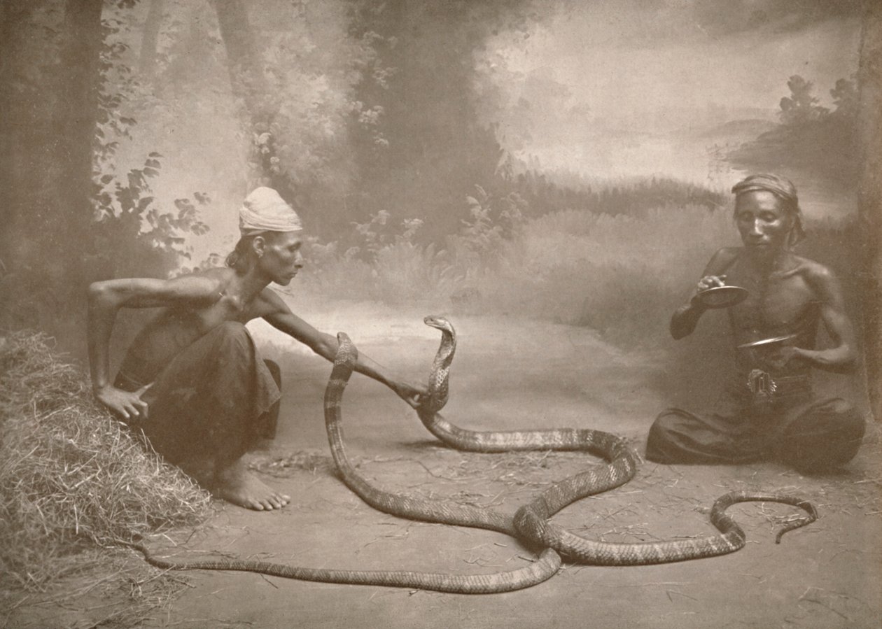 Snake Charmers with Hamadryads Kuy Cobras by Unbekannt