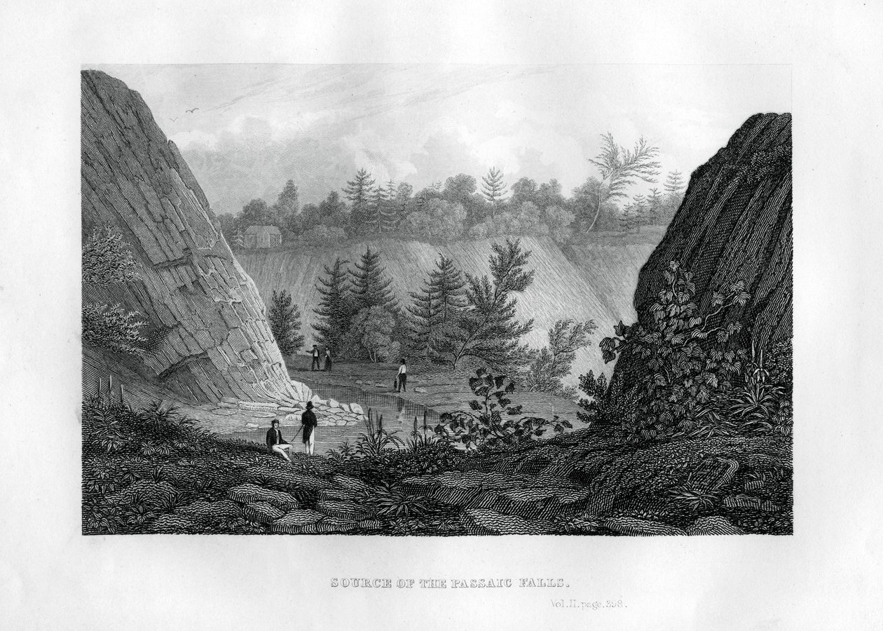 Source of the Passaic Falls, New Jersey by Unbekannt
