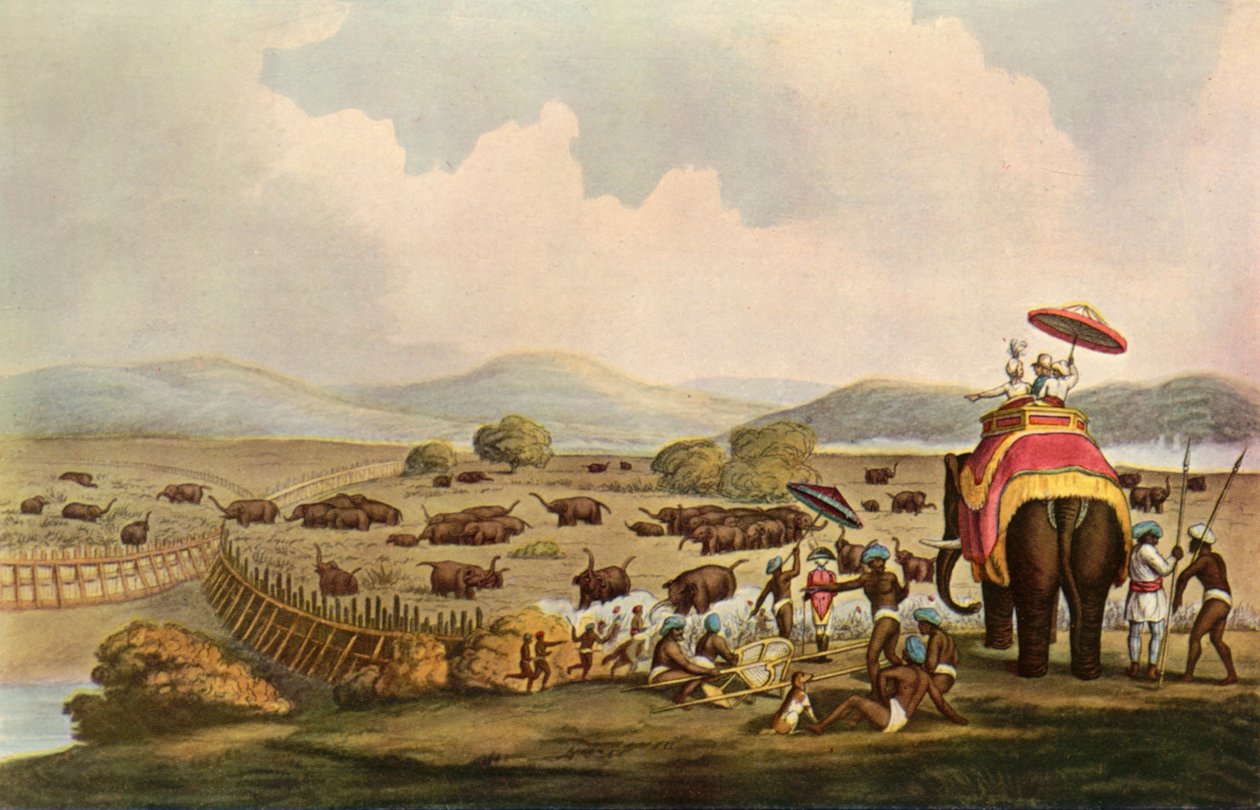 Sport in India - Driving Elephants Into A Keddah by Unbekannt