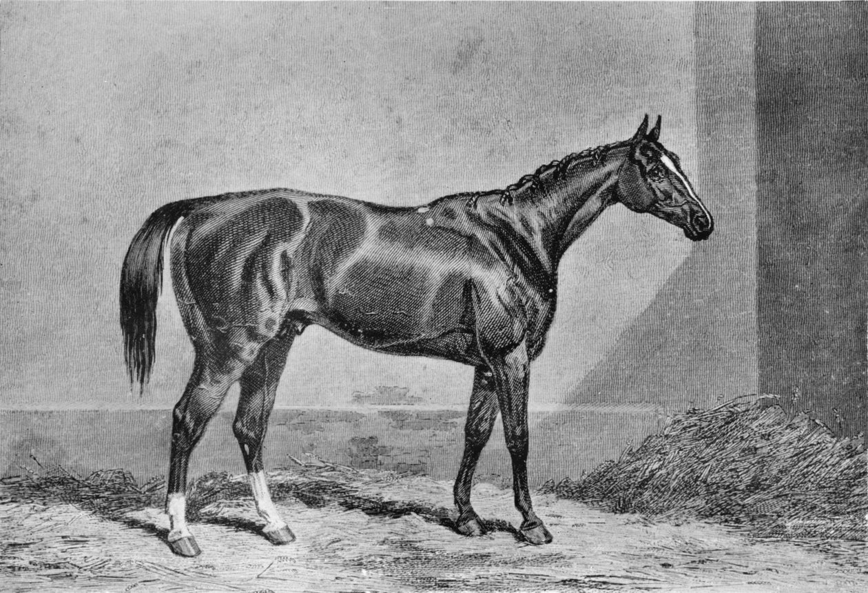 Stockwell, 1849-1871, 1911 by Unbekannt