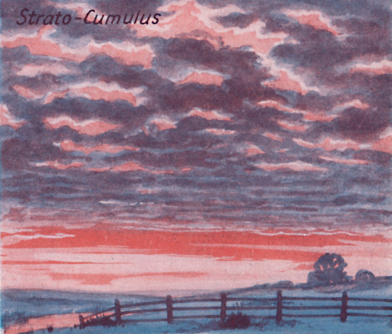 Strato-Cumulus - A Dozen of the Principal Cloud Forms In The Sky