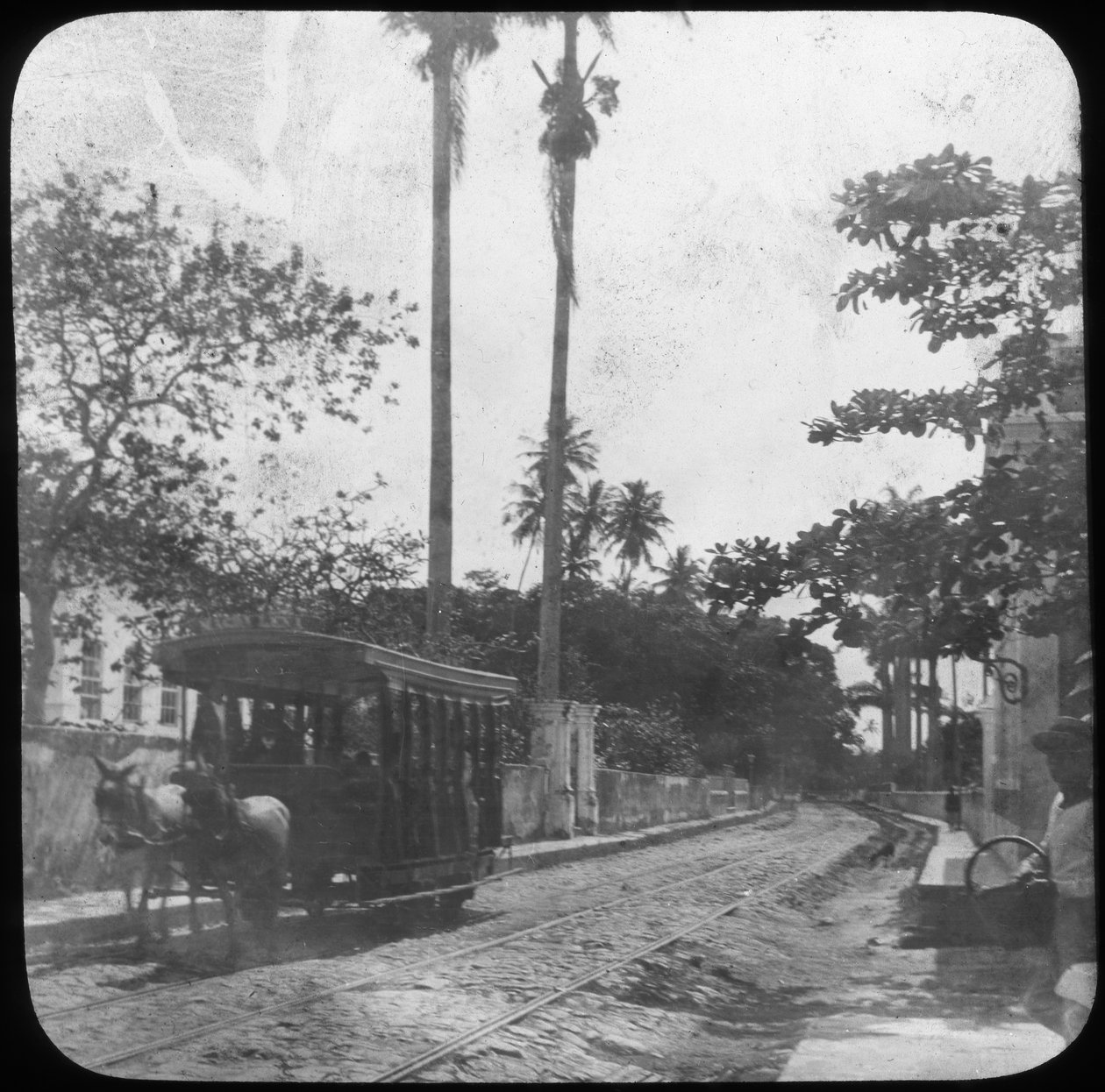 Street Scene with Horse-Drawn Tram, Pernambuco, Brazil by Unbekannt
