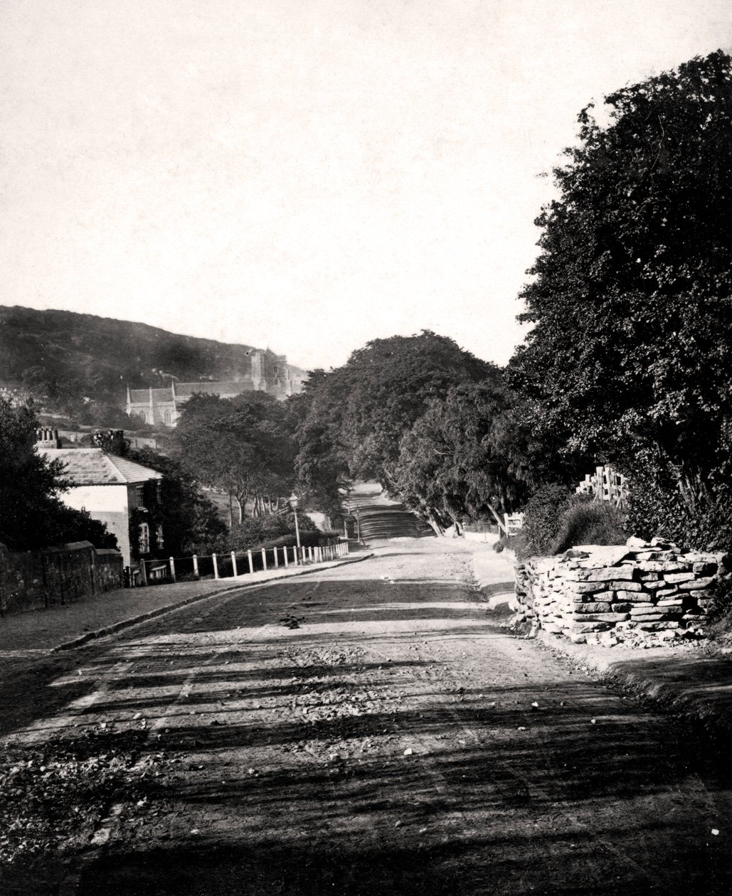 Street through a Valley in Hastings, Sussex, early 20th century by Unbekannt