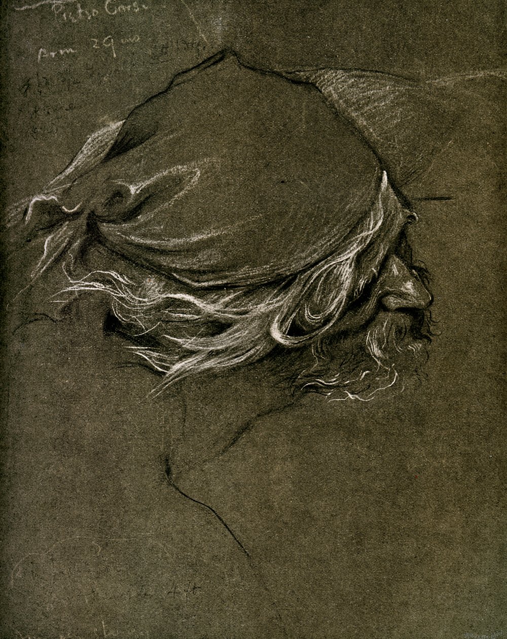 Study for The Sea Maiden, by Herbert J Draper by Unbekannt