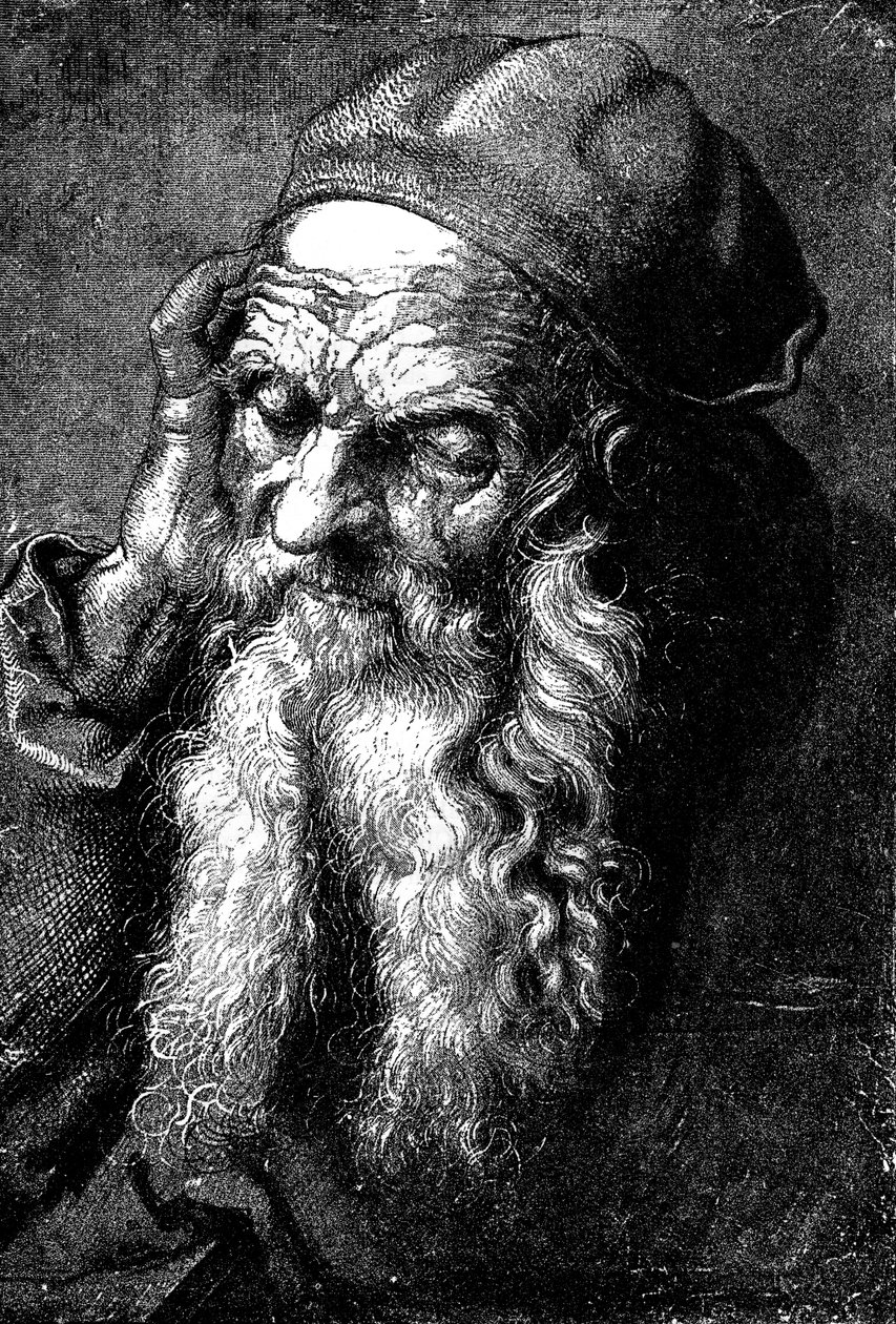 Study of an Old Man by Unbekannt
