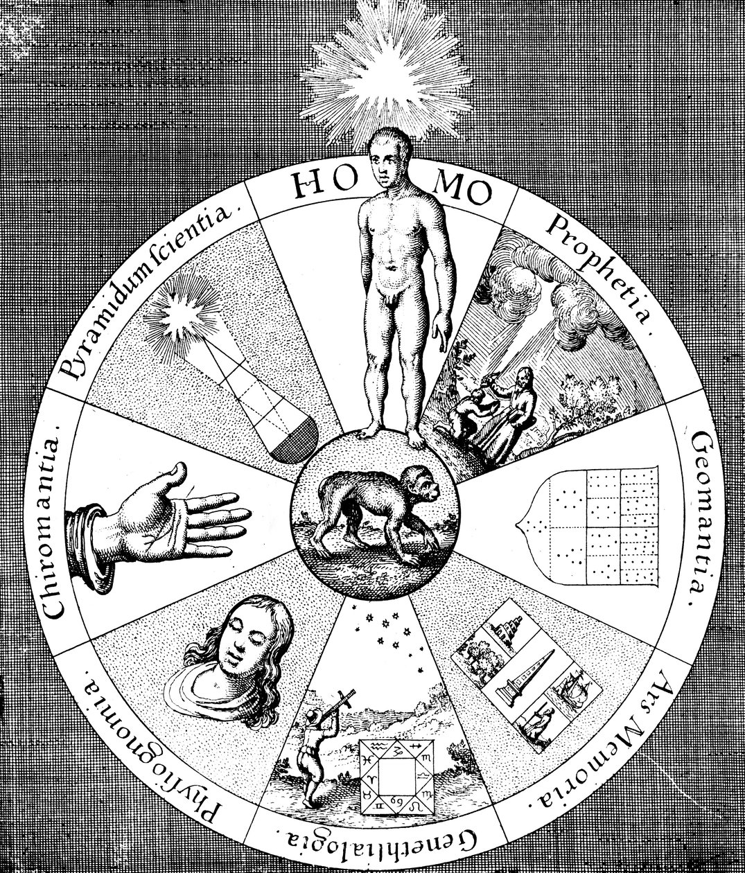 Synopsis of the Diviners Arts by Unbekannt: Fine art print
