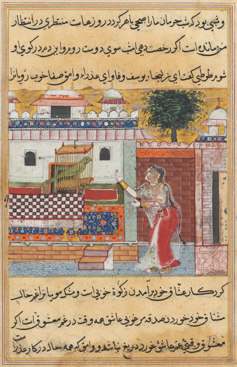 Tales of a Parrot, The Twelfth Night, the Parrot Addresses Khujasta at the Beginning of the Twelfth Night by Unbekannt Unbekannt