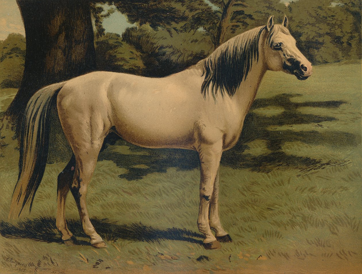 The Arab Pony Charger of General Sir Hope Grant, c1879 by Unbekannt