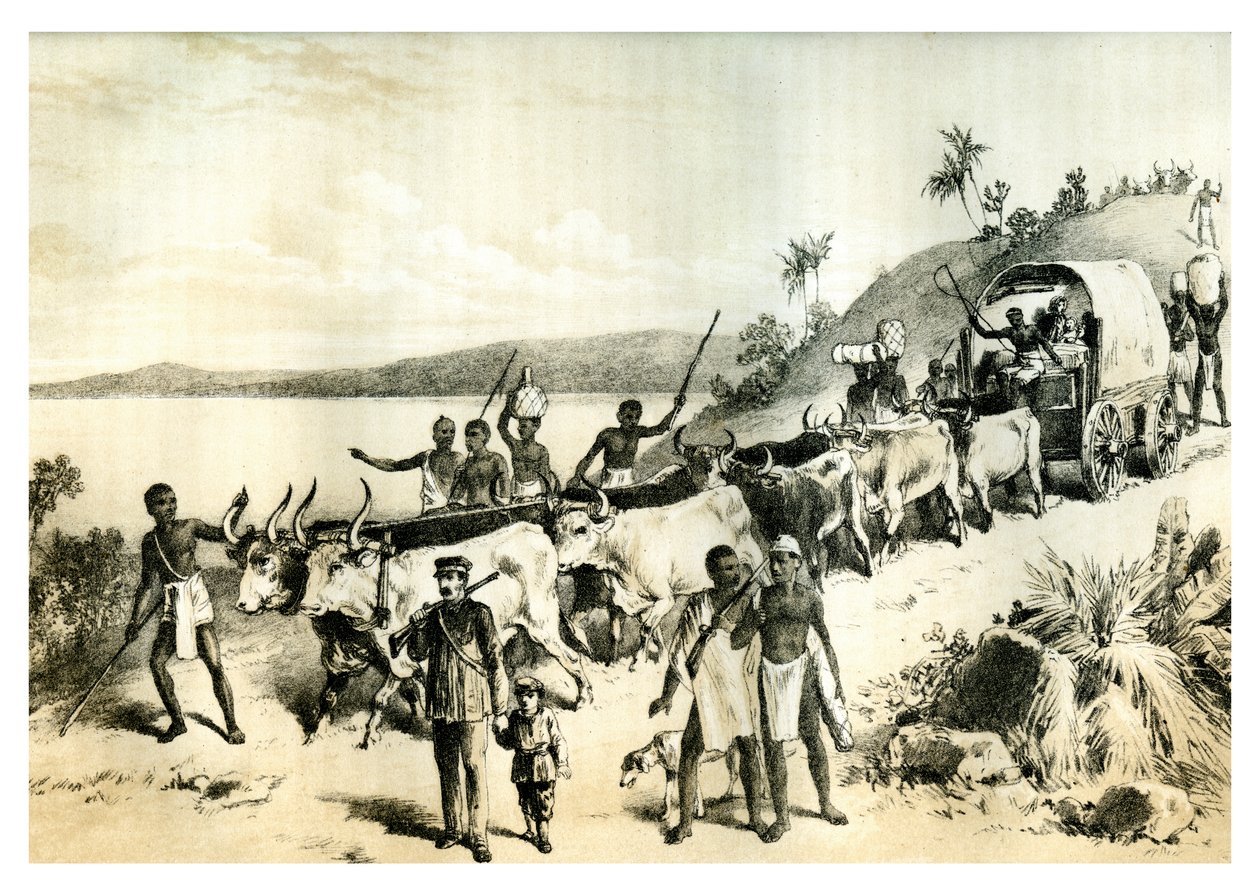 The Arrival at Lake Ngami, 1883 by Unbekannt