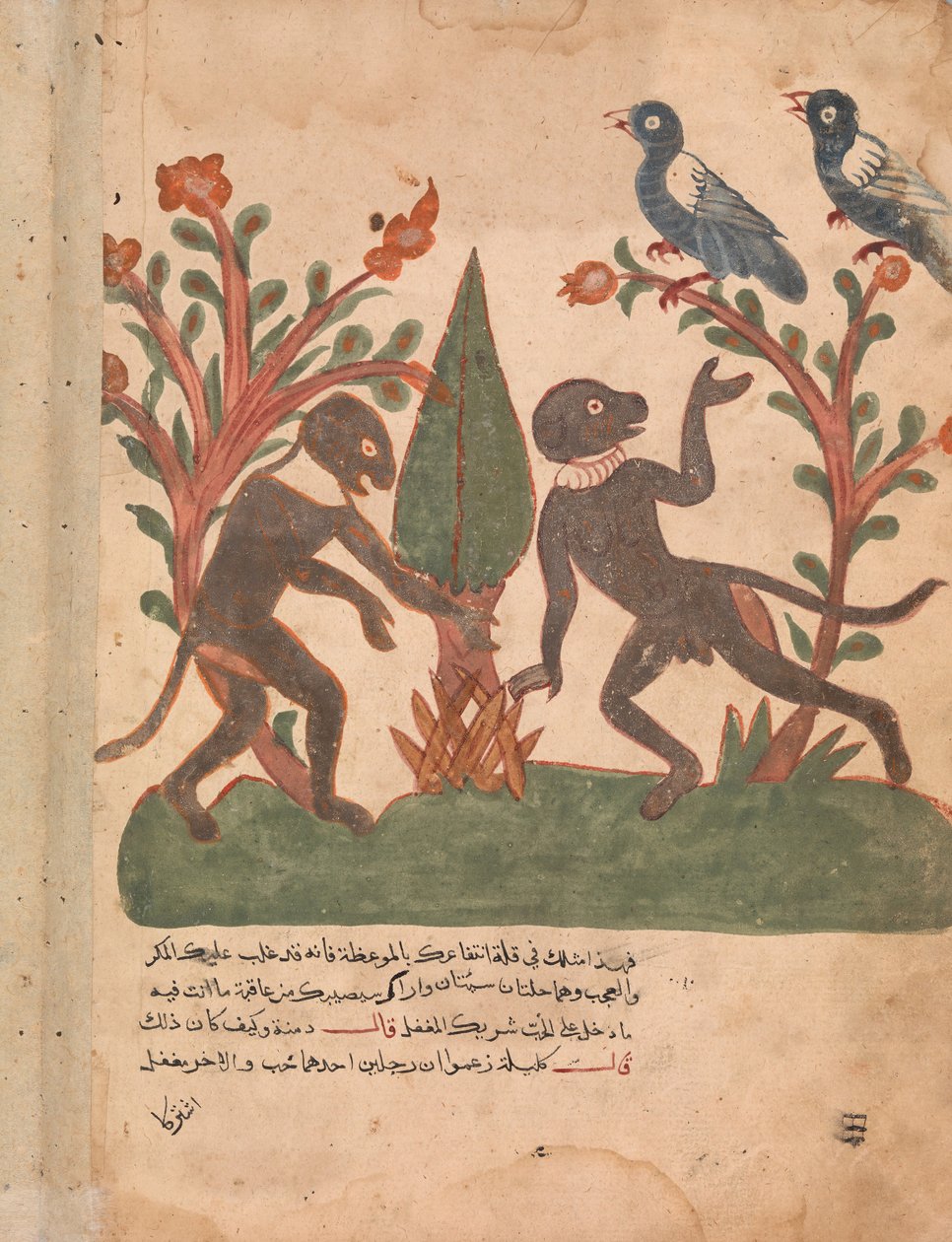 The Birds and the Monkeys with the Glow Worm, Folio from a Kalila wa Dimna by Unbekannt