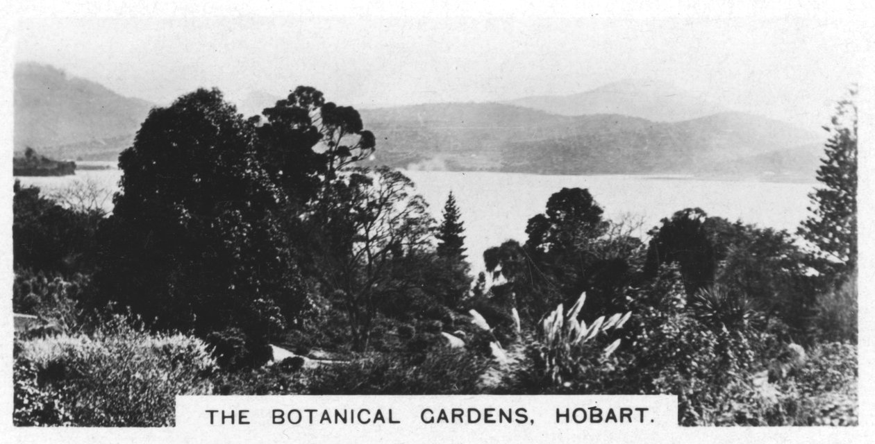The Botanical Gardens, Hobart, 1928 by Unbekannt