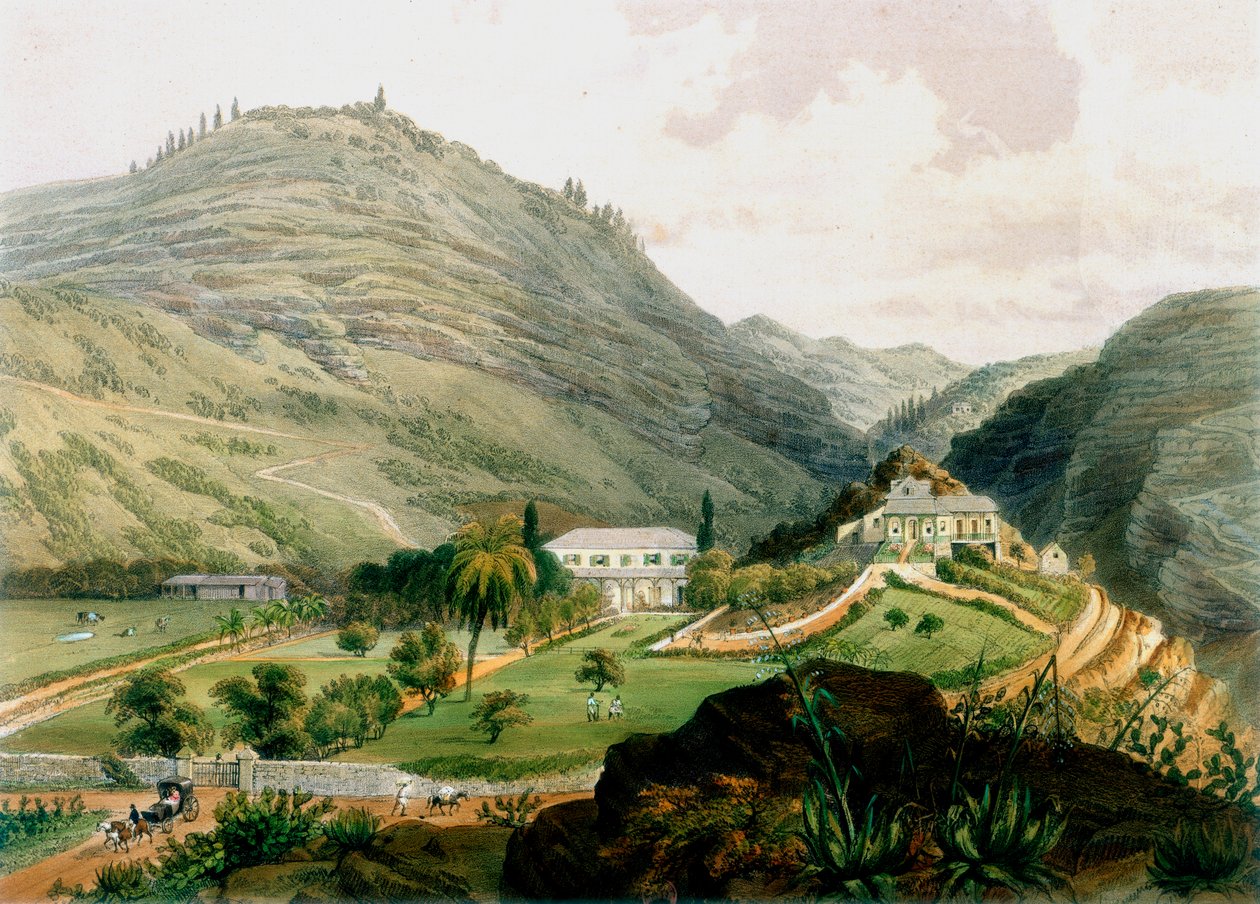 The Briars, St Helena, Early 19th Century by Unbekannt