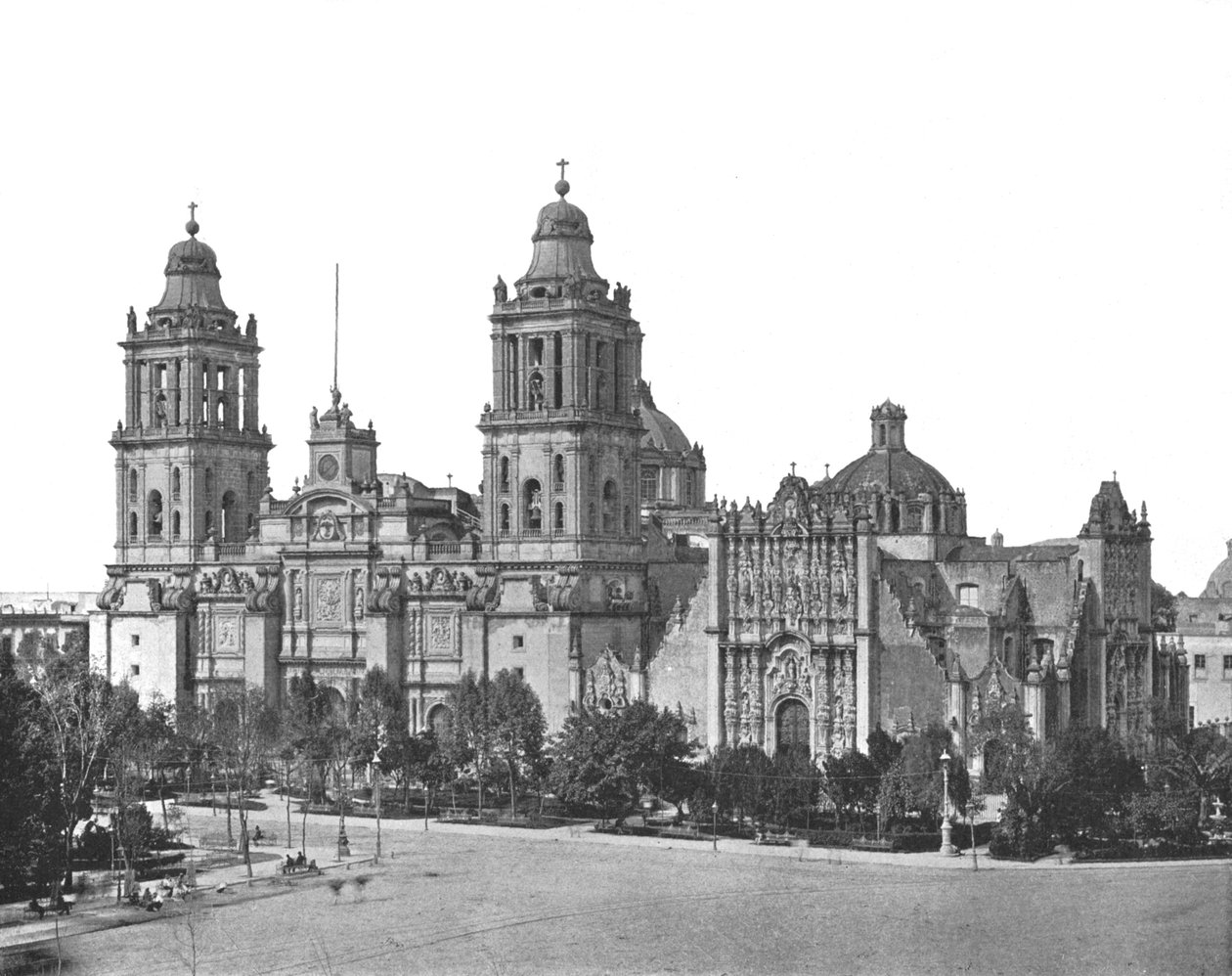 The Cathedral, Mexico City, Mexico by Unbekannt