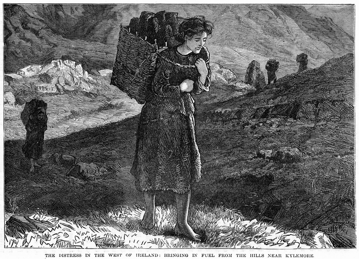 The Distress in the West Ireland: Bringing in Fuel from the Hills near Kylemore by Unbekannt