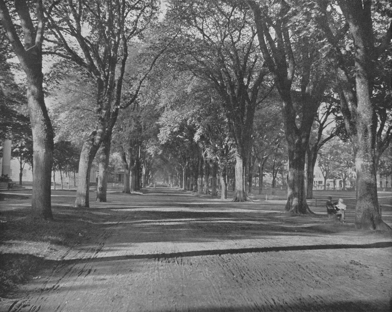 The Elms, New Haven, Connecticut, USA by Unbekannt