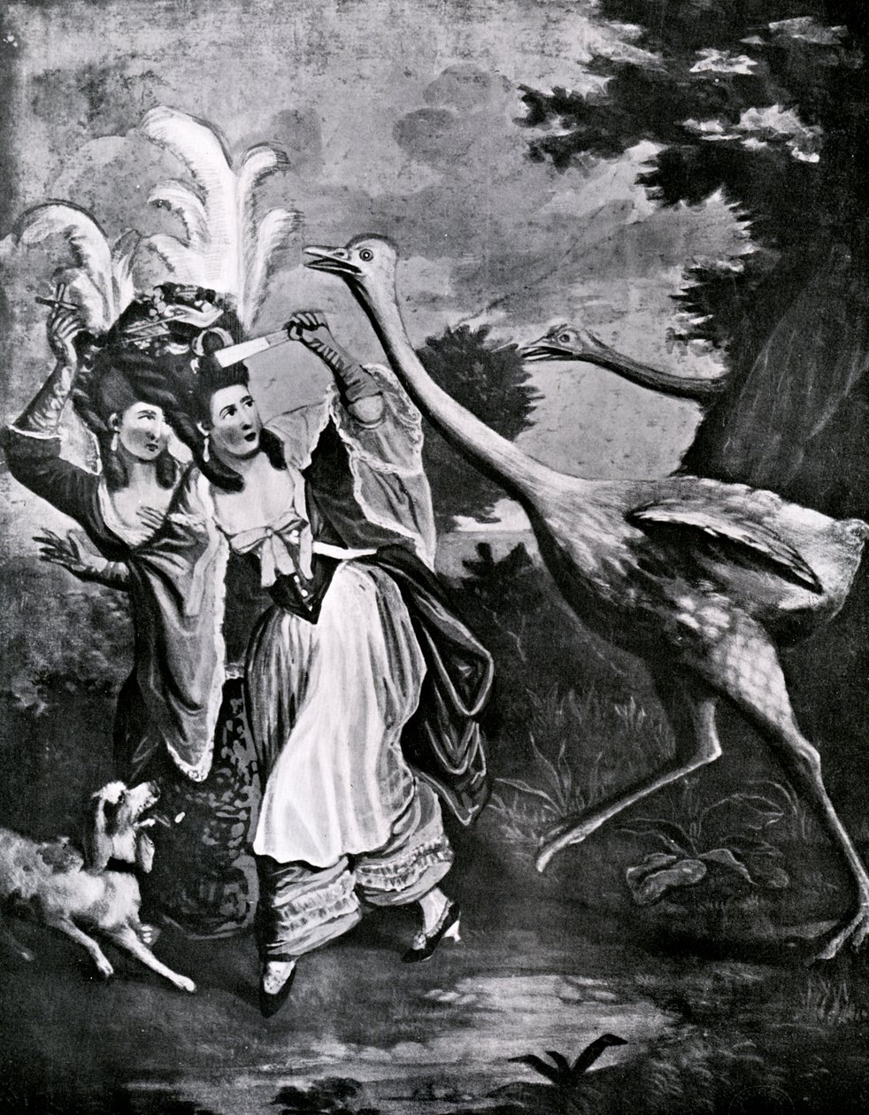 The Feathered Fair in a Fright, 18th century by Unbekannt