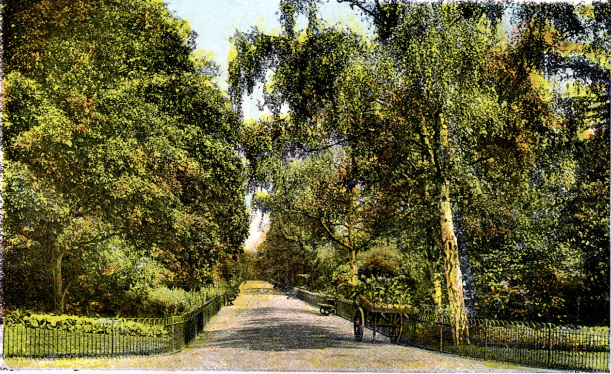 The Flower Walk, Kensington Gardens, London, 20th Century by Unbekannt