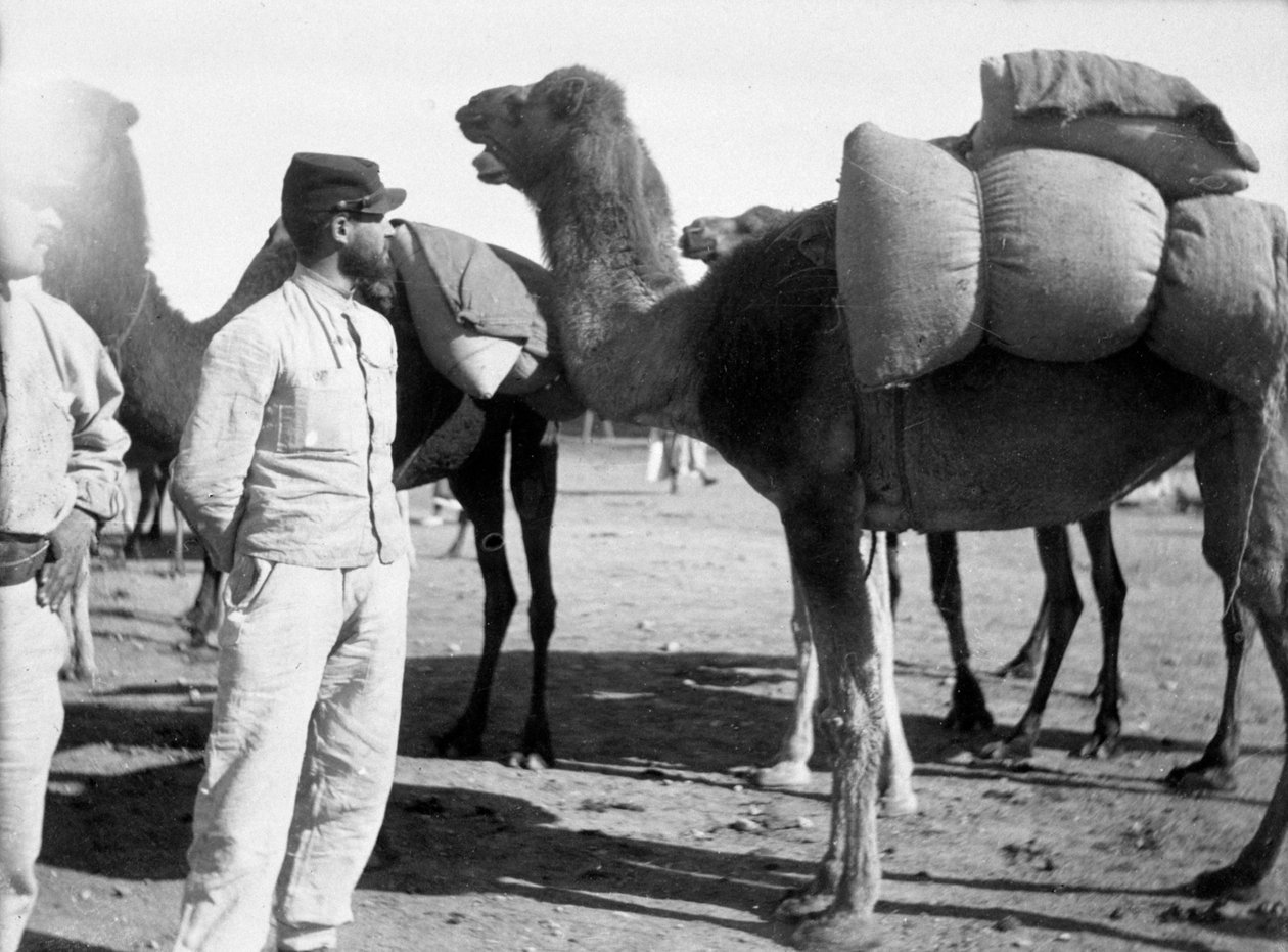 The French Foreign Legion on manoeuvres, Boudenib, Morocco, 1911 by Unbekannt