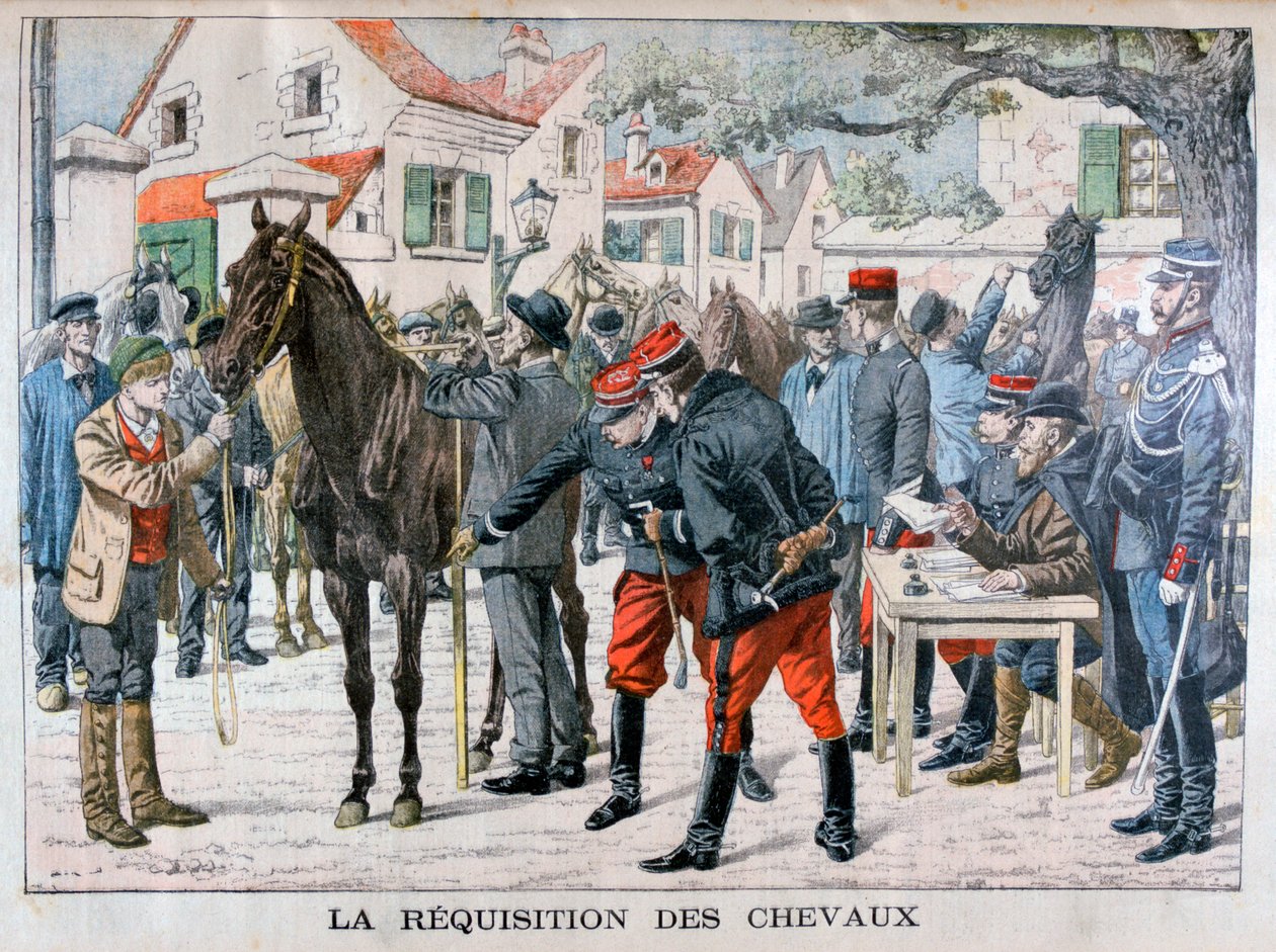 The French army buying horses, 1904 by Unbekannt