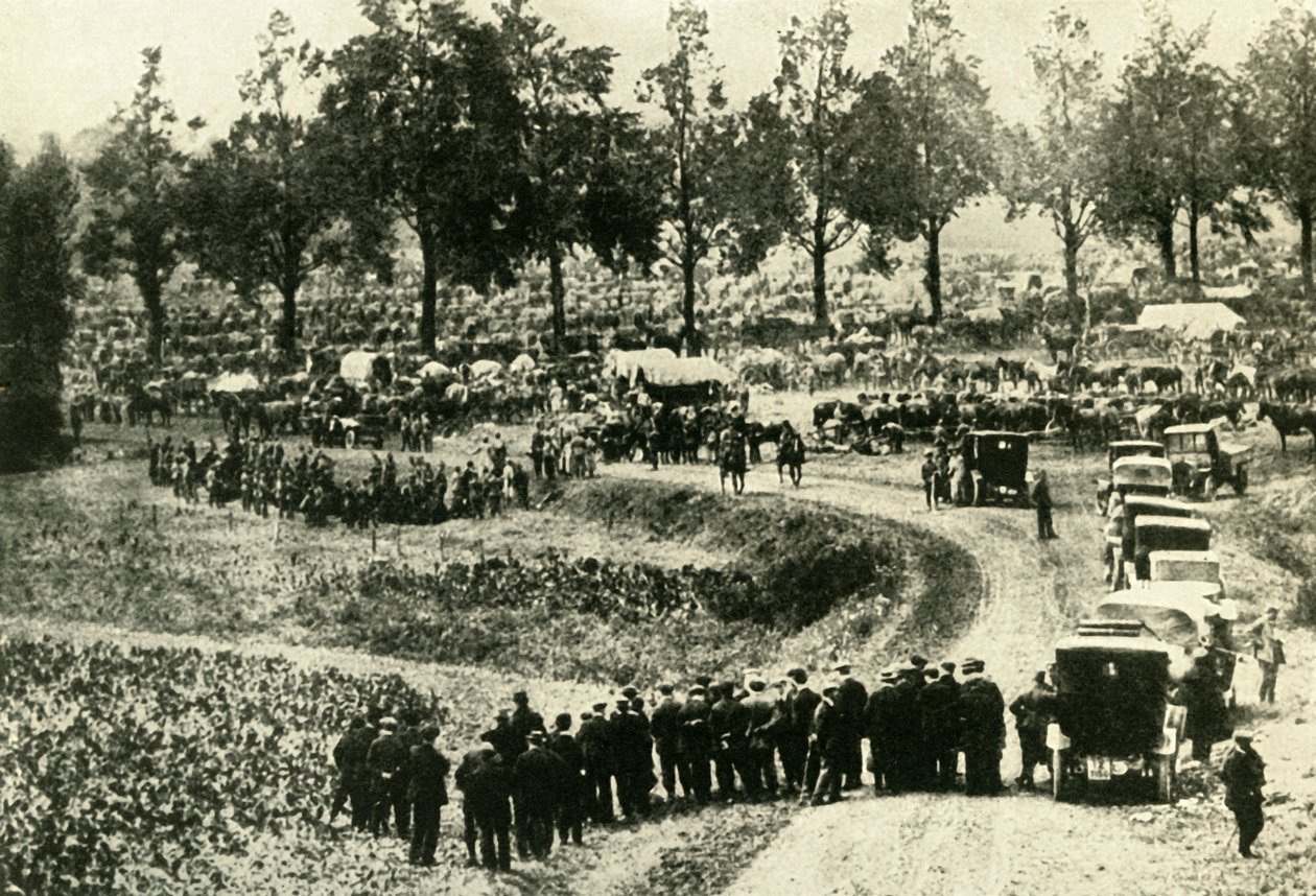 The Germans arrest civilians at Visé in Belgium, August 1914 by Unbekannt