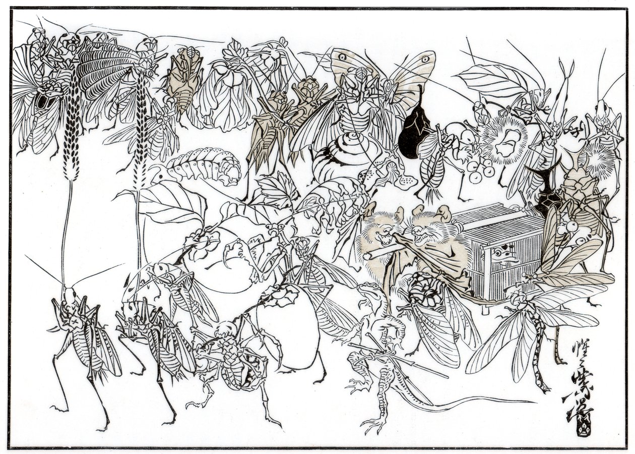 The Insect Daimio Cortege by Unbekannt