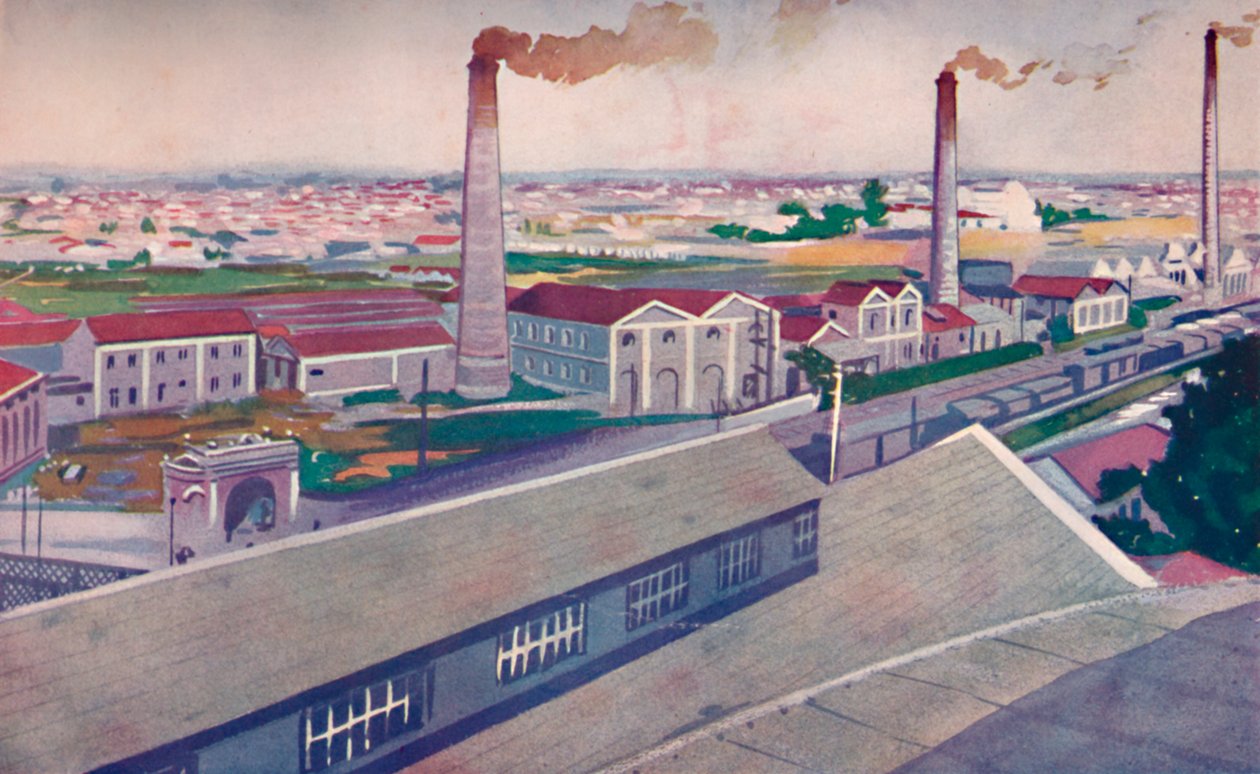 The Jute Mills of the Cia. Nacional de Tecidos de Juta by Unbekannt