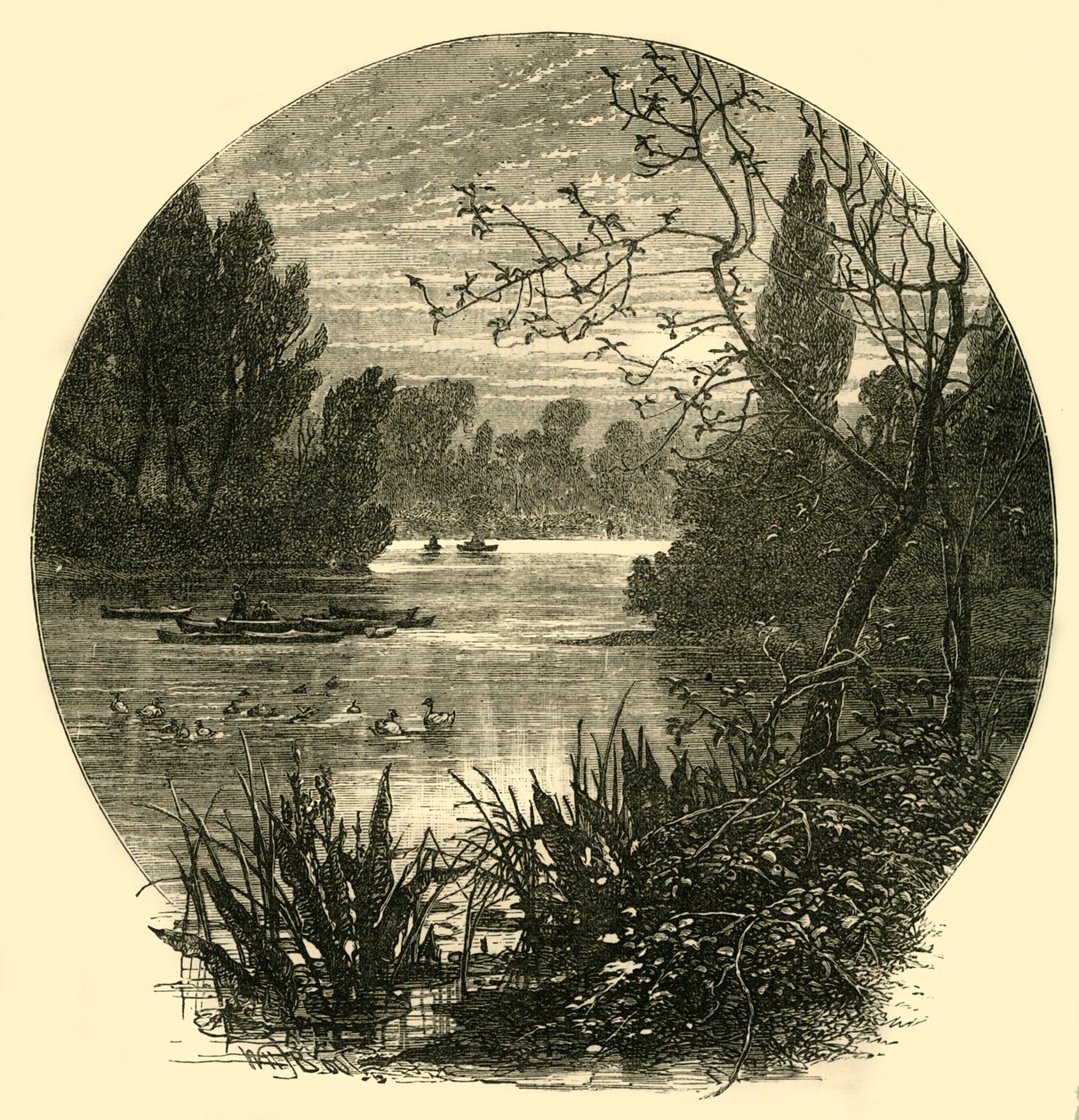 The Lake, Battersea Park by Unbekannt