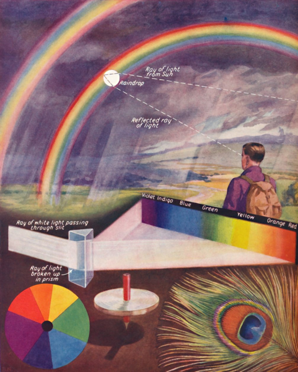 The Many Colours That Make Up White Light, 1935 by Unbekannt