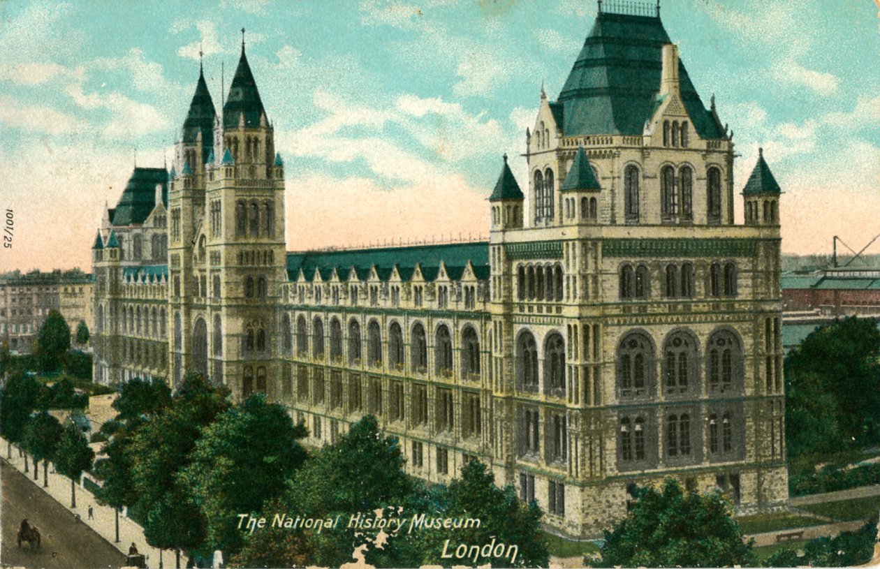 The National History Museum, London, c1910 by Unbekannt