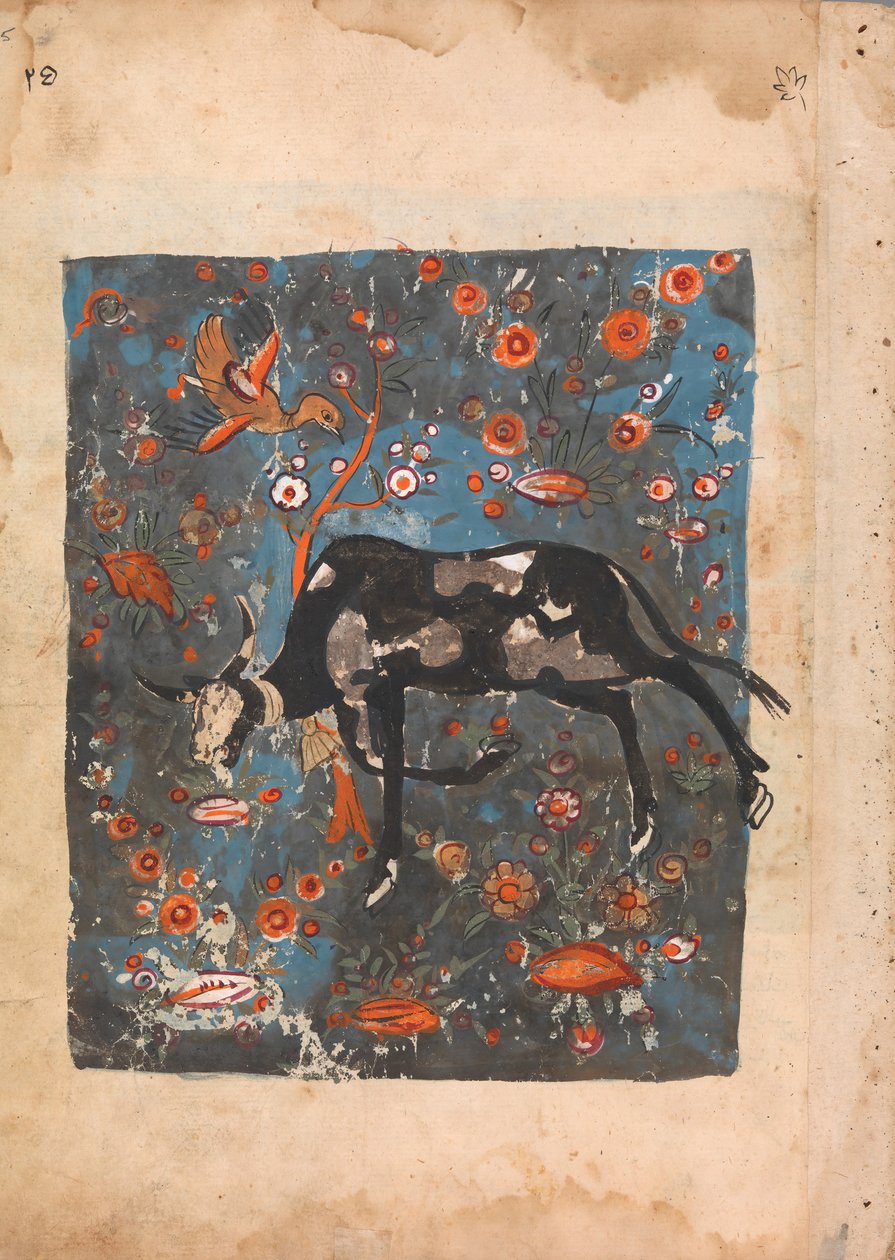 The Ox Shanzabeh Left Behind, Grazing in the Territory of the Lion King by Unbekannt