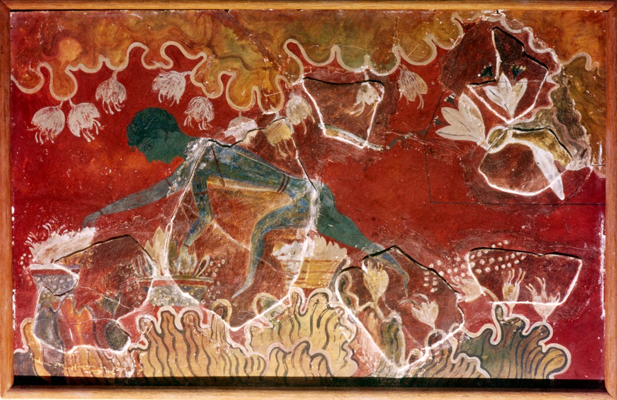 The Saffron-Gatherer Fresco from Minoan Royal Palace, Knossos, Crete by Unbekannt