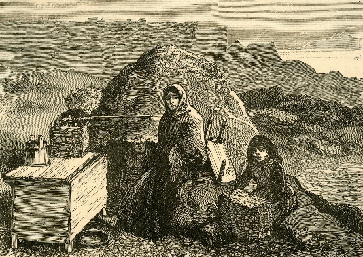 The State of Ireland: An Evicted Family Near Errismore by Unbekannt