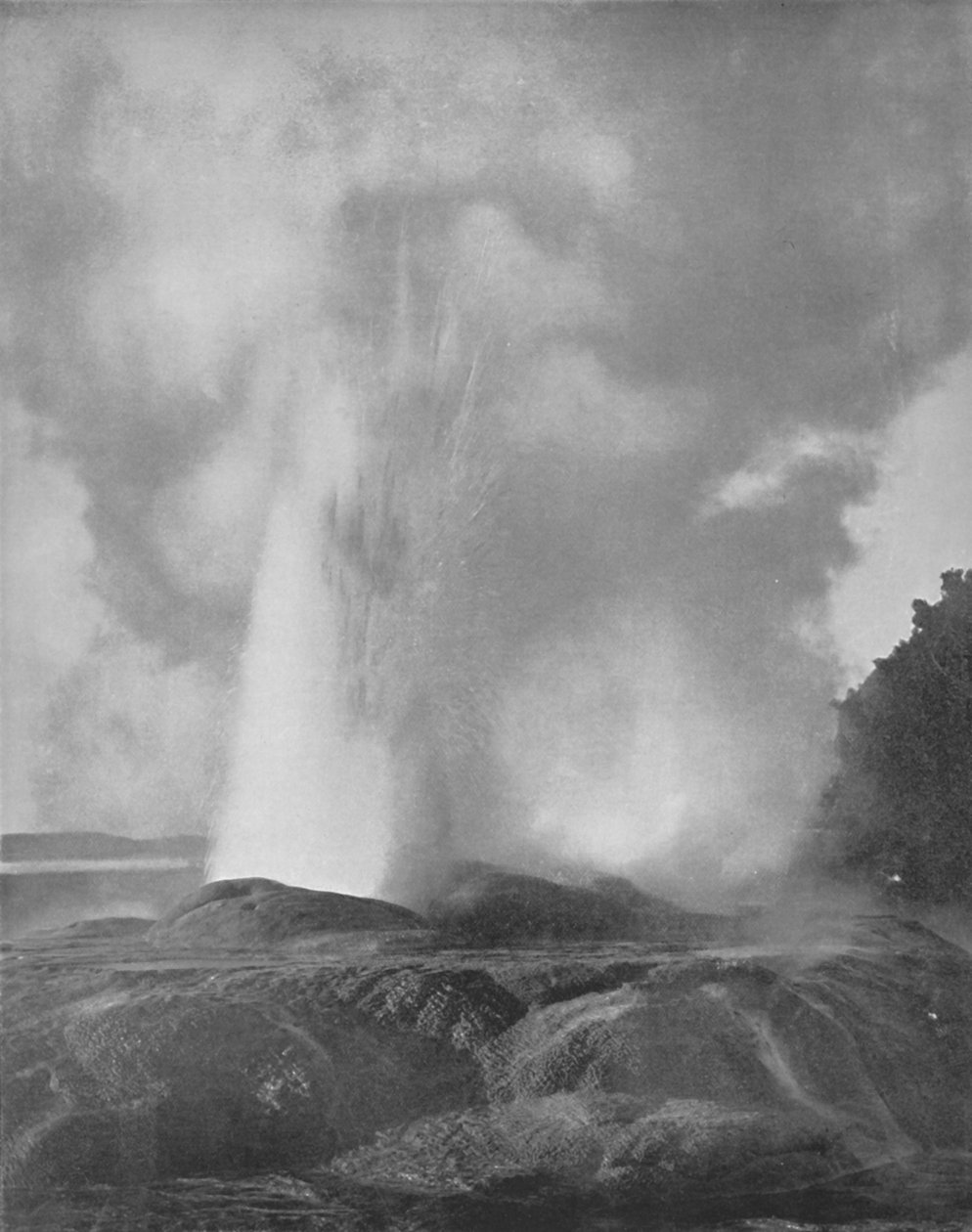 The Waikite Geyser by Unbekannt: Buy fine art print