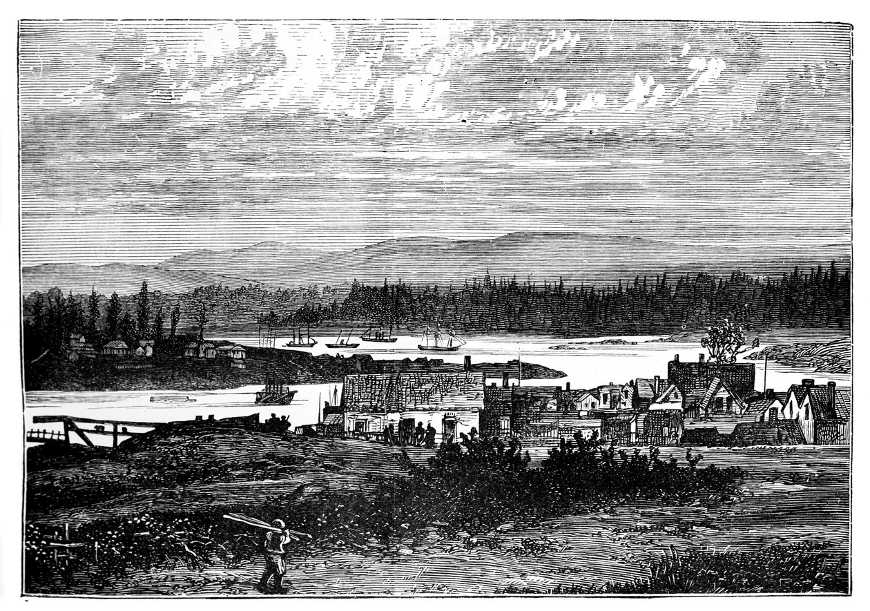 The Western Suburbs of Victoria, Vancouver Island, Canada, c1888 by Unbekannt