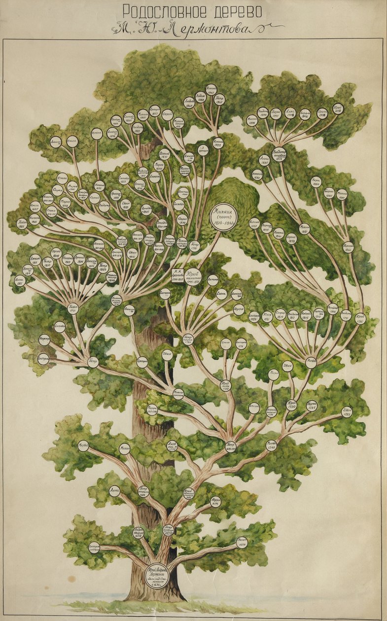 The Family Tree of Mikhail Lermontov, 1930s by Unbekannt