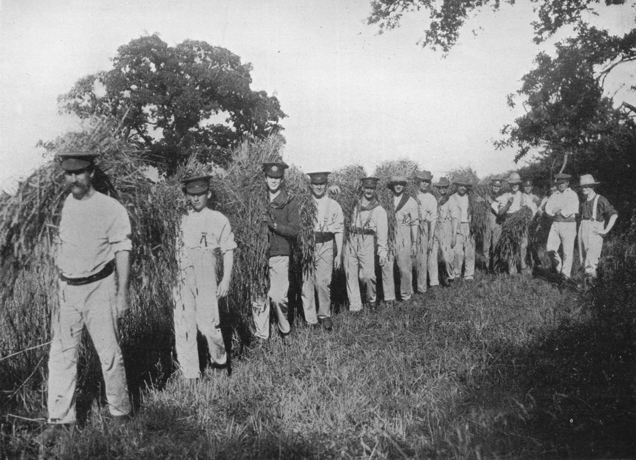 The Shortage of Farm Labour: Soldiers Assisting with the Harvest, 1915 by Unbekannt
