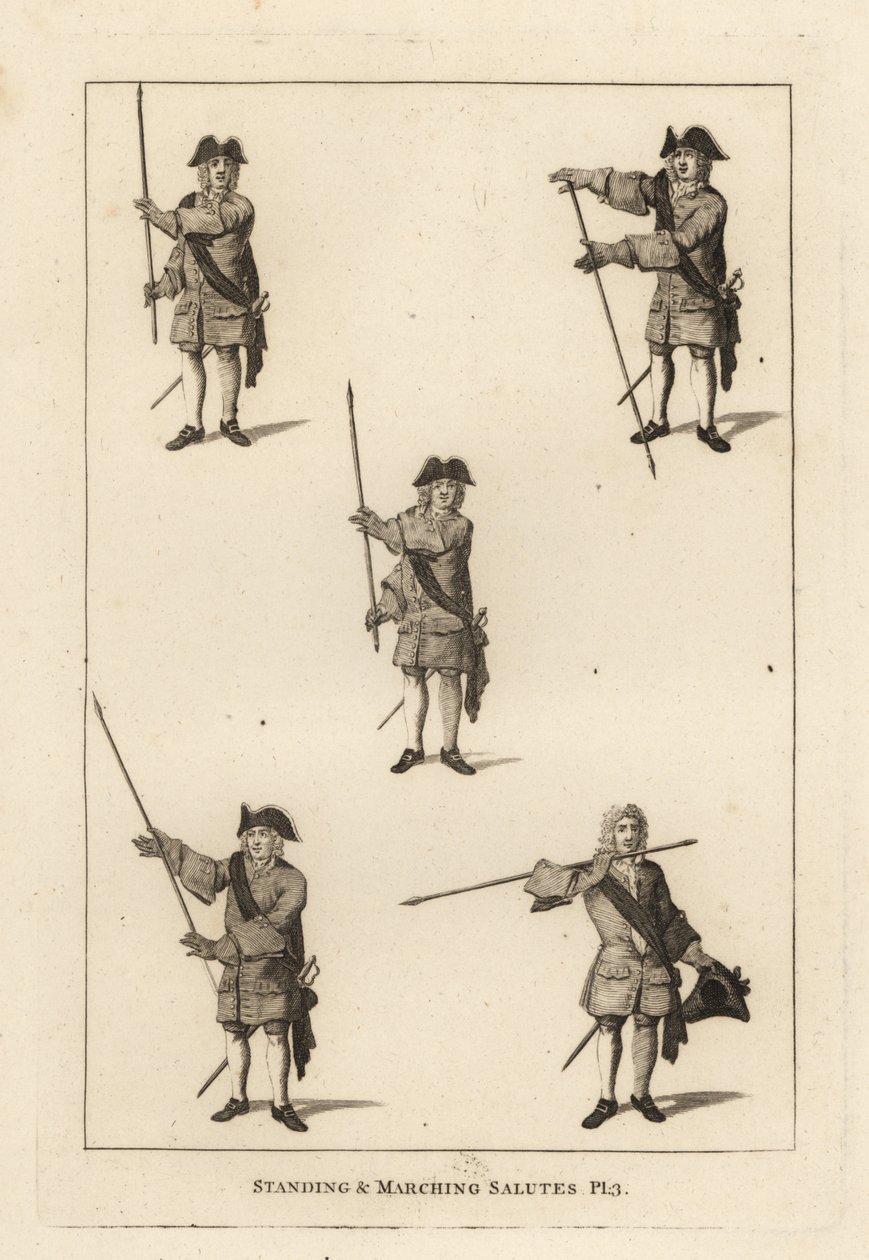 The standing and marching salute exercises by Unbekannt