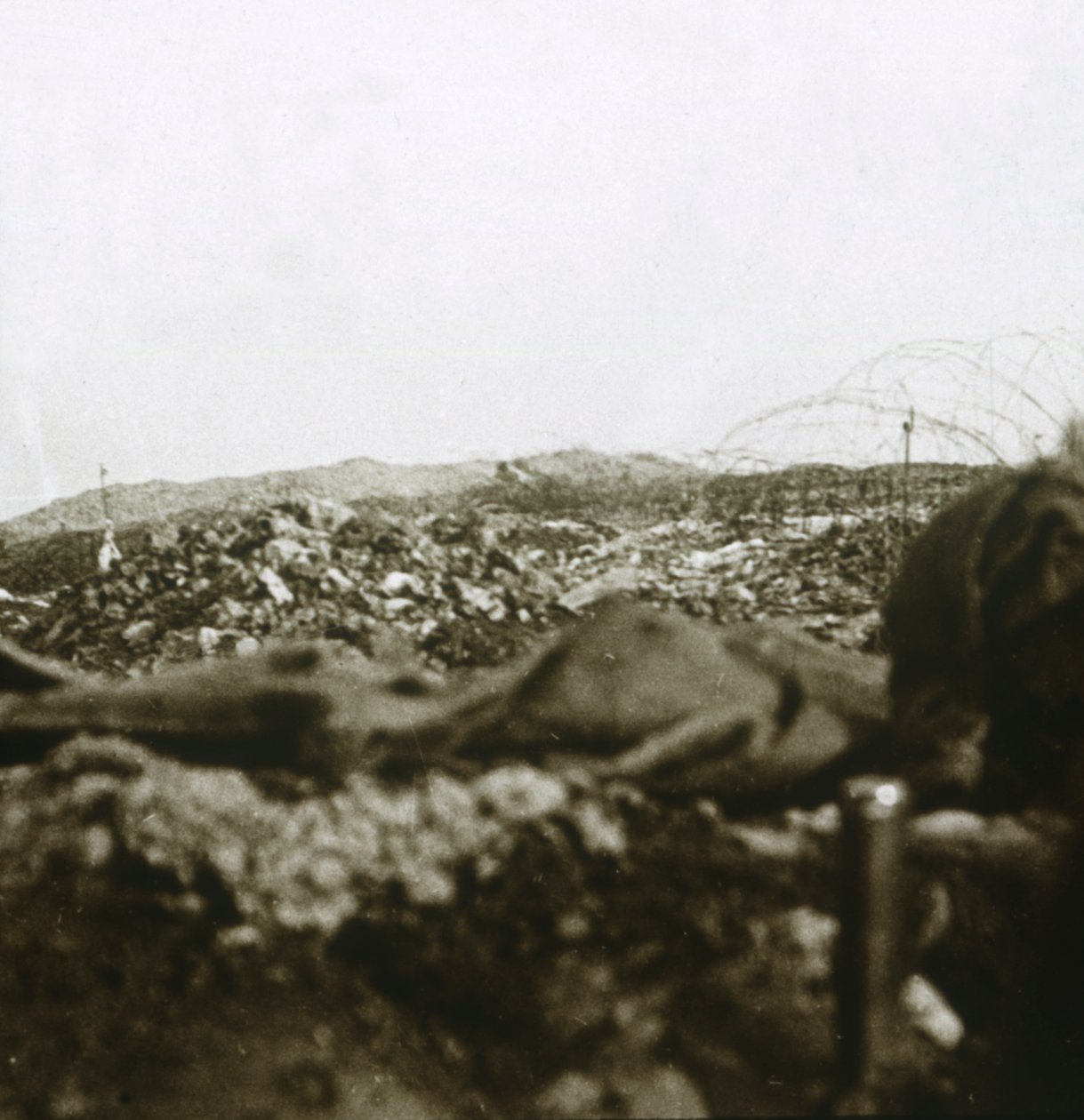 The summit, Les Éparges, northern France, c1914-c1918 by Unbekannt