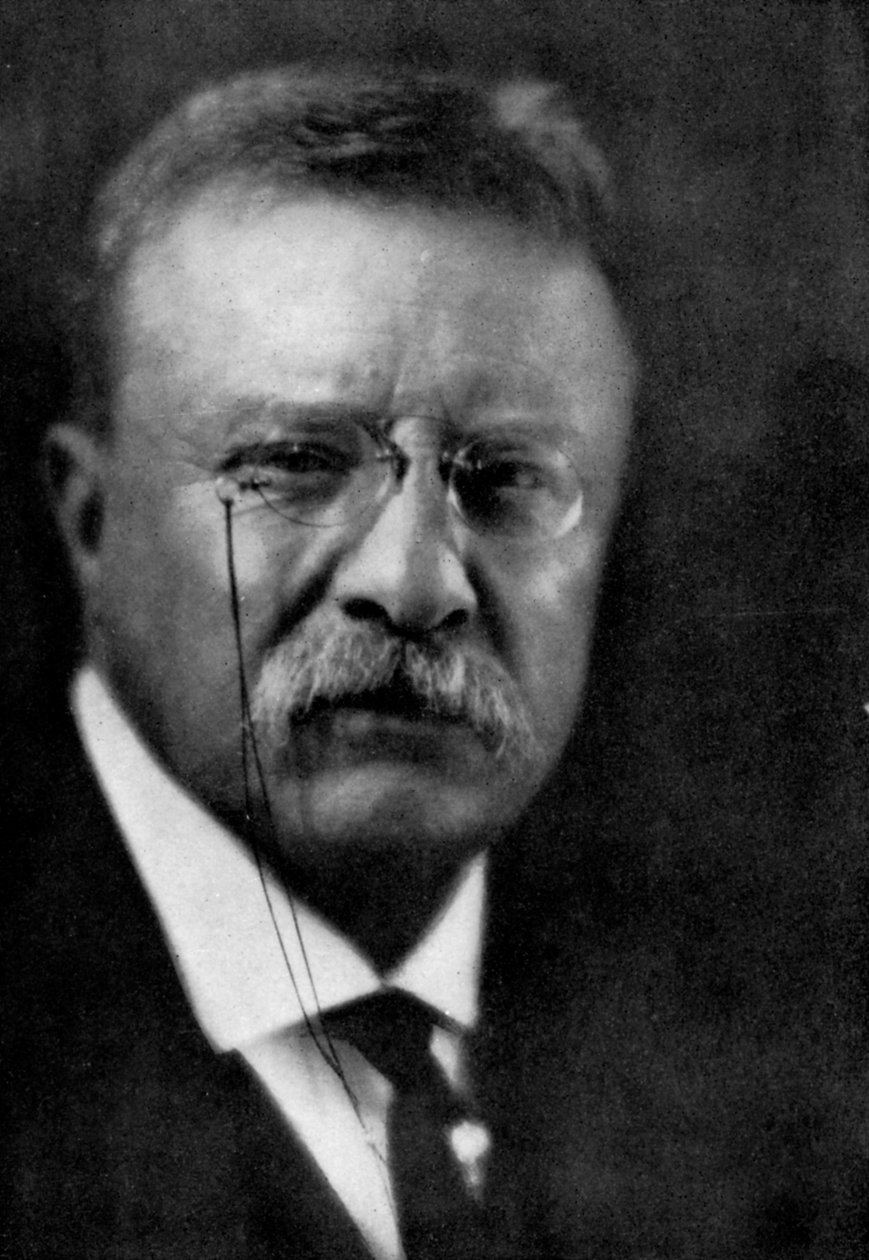 Theodore Roosevelt, 26th President of the United States, 1933 by Unbekannt